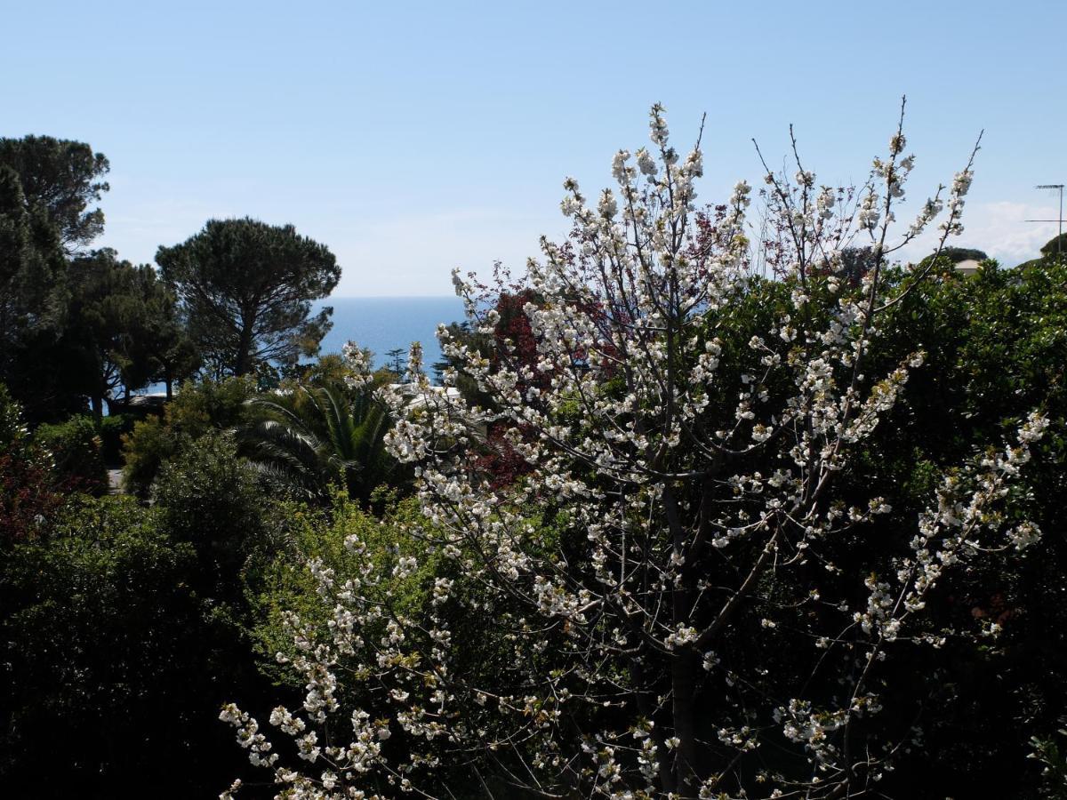 B&B Verde Sul Mare Arenzano Luaran gambar